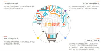 怎么定制開發電商商城app系統