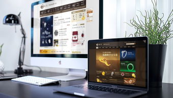 菜百商城電商開發 品牌推廣 整合營銷 易龍天