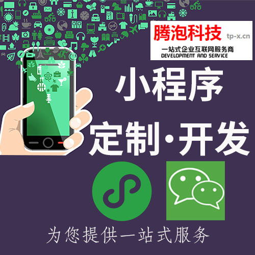 中山小程序開發公司 小程序 推小程序開發定制公司哪家好